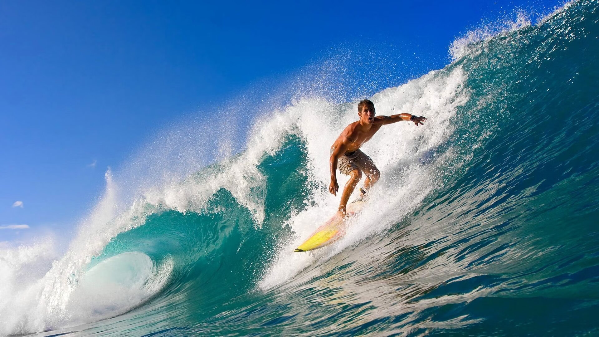 体育新闻中心支持智能化内容推荐机制,体育新闻专题报道